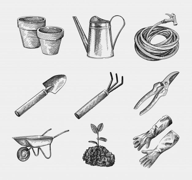 hand drawn garden tools and gardening implements