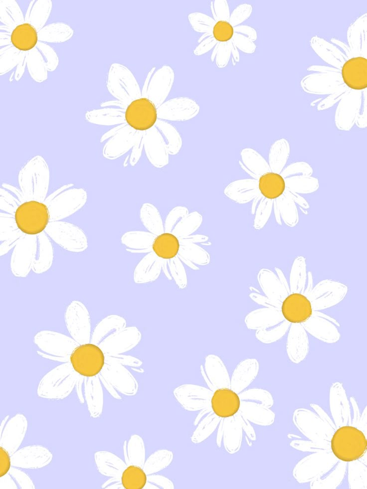 white and yellow daisies are on a blue background, with one daisy in the center