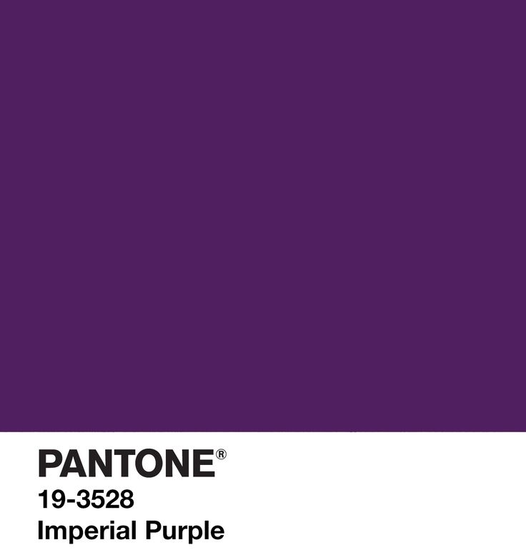 pantone's imperial purple is the most popular color for interior walls and floors