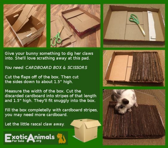 the instructions for how to make a cardboard box with scissors and other things in it