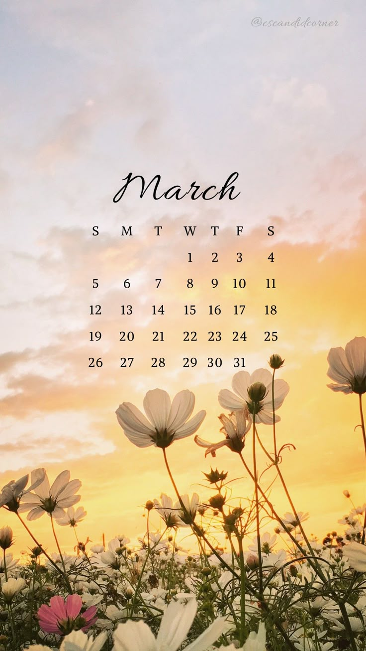 a calendar with flowers in the foreground and an orange sky behind it that reads march