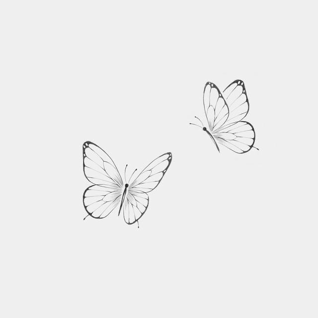 two butterflies flying side by side in the sky