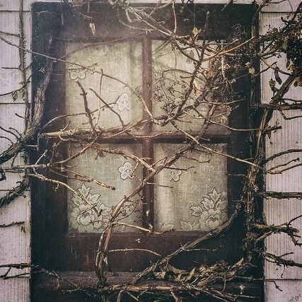 an old window with vines growing on it