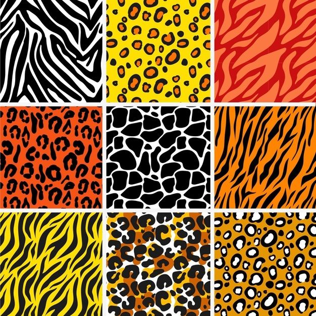 six different animal print patterns in orange, black and yellow colors stock photo - budget conscious