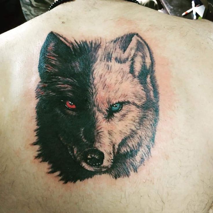 35 Of The Best Wolf Tattoos For Men in 2023  FashionBeans