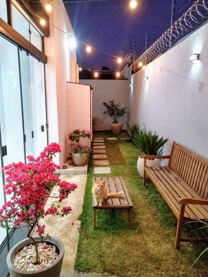 a small courtyard with wooden benches and potted plants on the lawn at night time