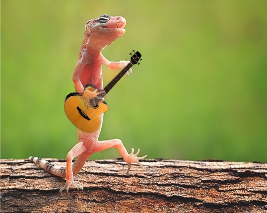 a gecko playing the guitar while standing on it's hind legs