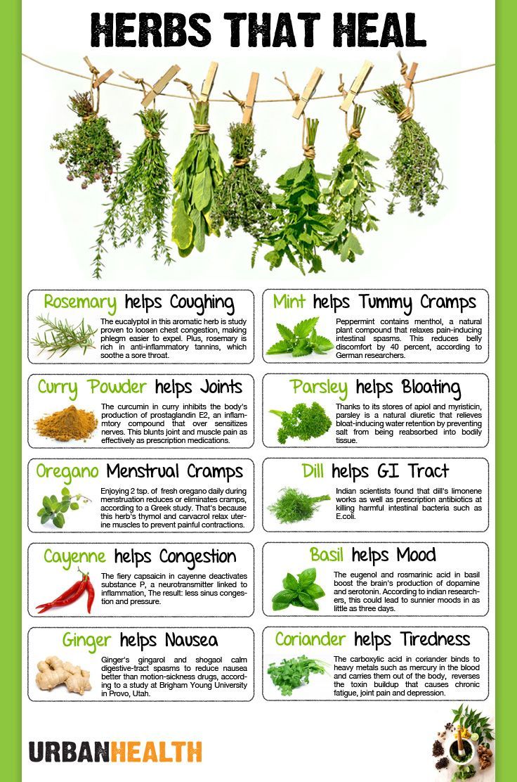 Pinterest Login Medicinal Herbs Garden, Medical Herbs, Magic Herbs, Natural Healing Remedies, Healing Plants, Home Health Remedies, Herbal Healing, Herbal Magic, Herbs For Health