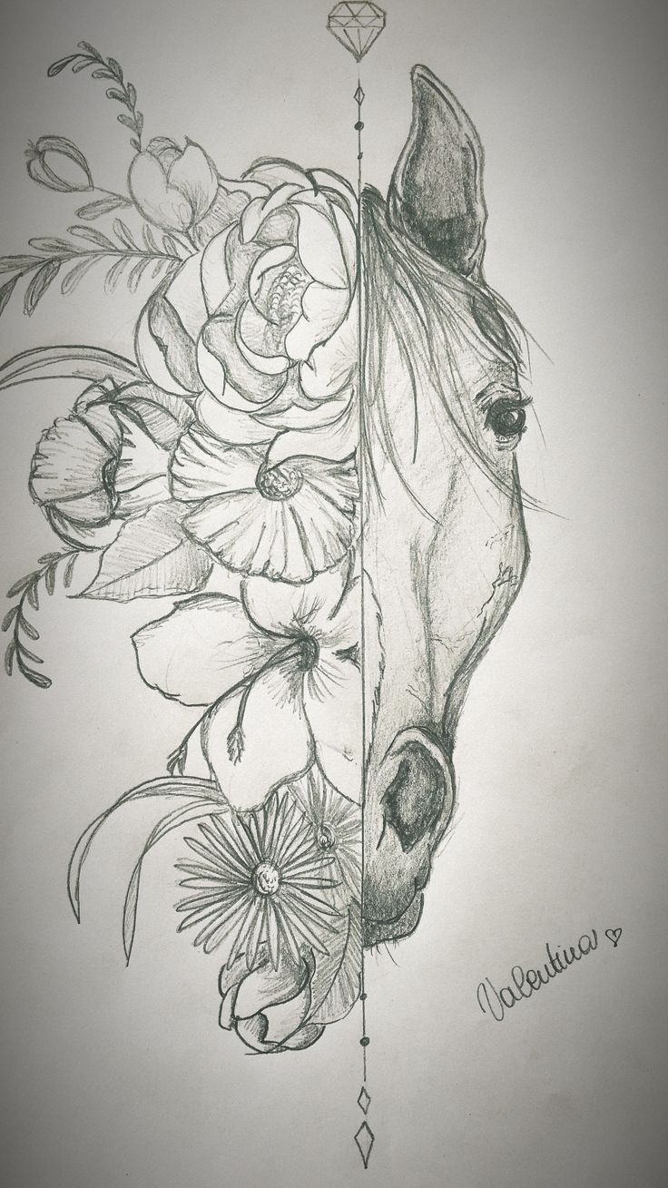 a pencil drawing of a horse's head with flowers in the foreground and an arrow pointing to it