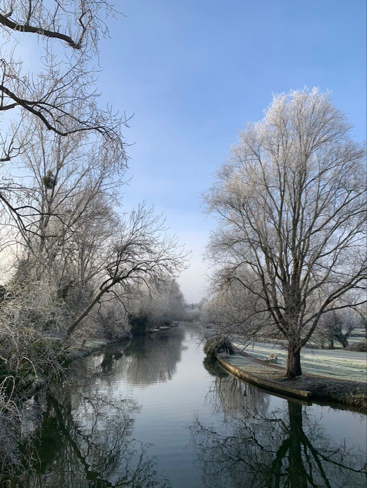 the river is surrounded by trees with no leaves on them and frosted branches in the foreground