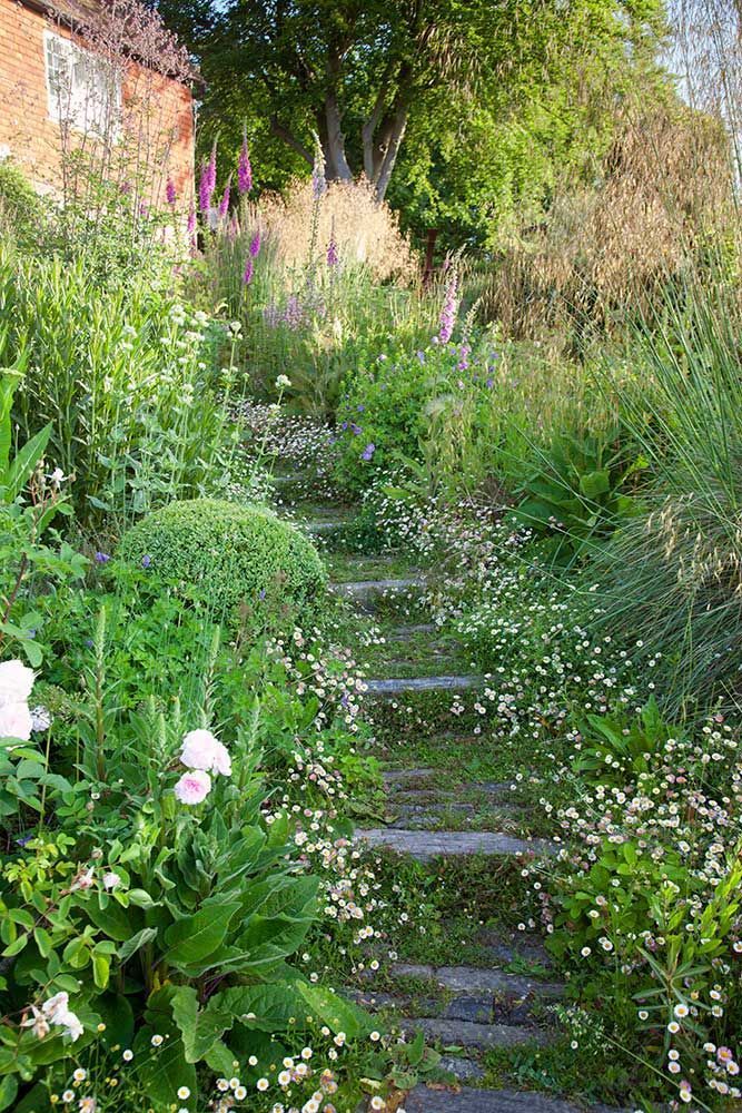 a stone path surrounded by flowers and greenery