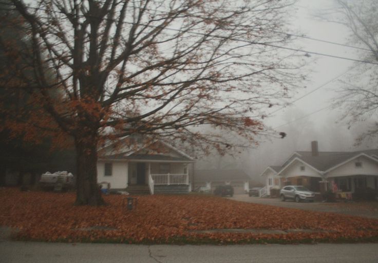 a foggy day with houses and trees in the foreground