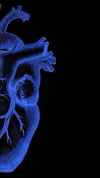 the human heart is glowing blue in the dark