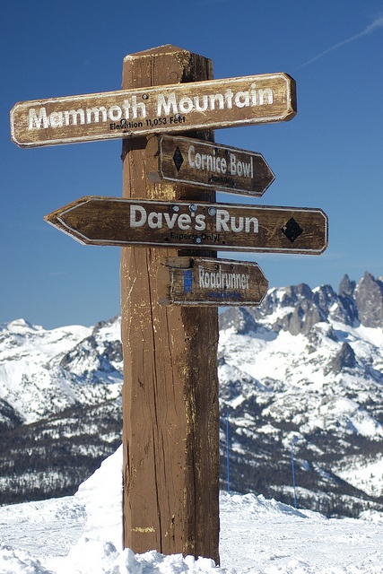 a wooden pole with many signs on top of it in front of snow covered mountains