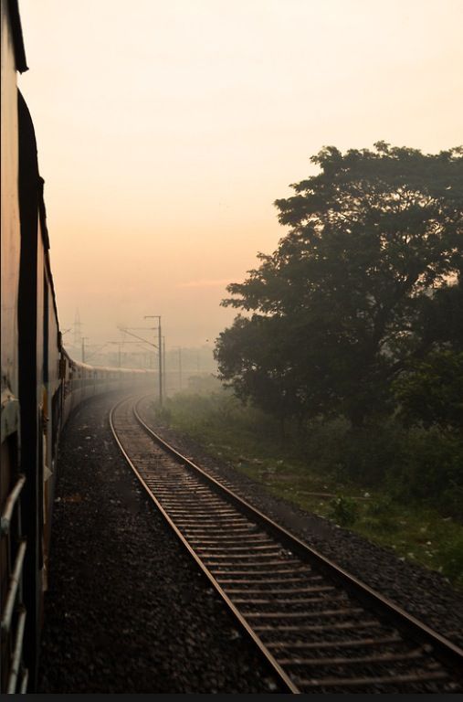 a train traveling down tracks next to a lush green forest at sunset or dawn in the fog