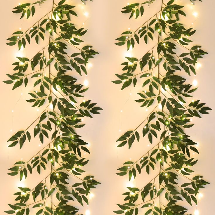 the green leaves are hanging from the ceiling with lights on it's sides and behind them is a white wall