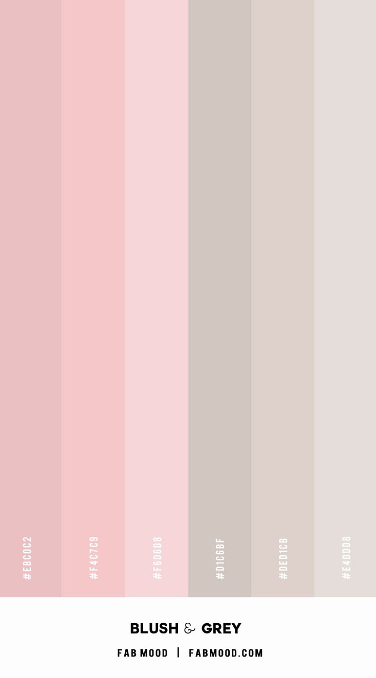 the color scheme for blush and grey