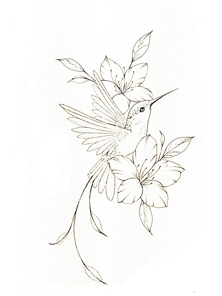 a drawing of a hummingbird sitting on a flower