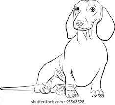 a black and white drawing of a dachshund dog sitting on the ground