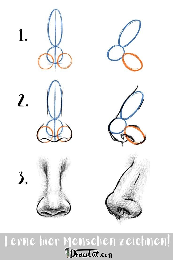 how to draw the nose and feet with colored pencils step by step instructions for beginners