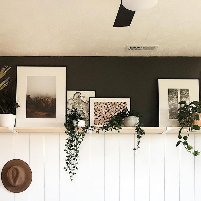 there are pictures and plants on the mantle