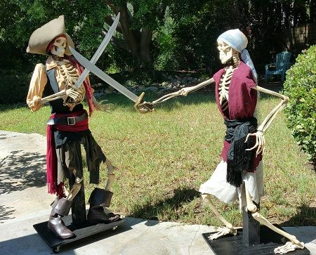 two skeletons dressed as pirates holding hands and standing next to each other in the grass