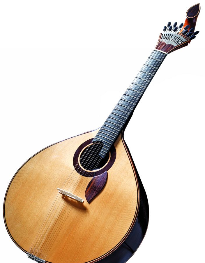 an acoustic guitar is shown against a white background