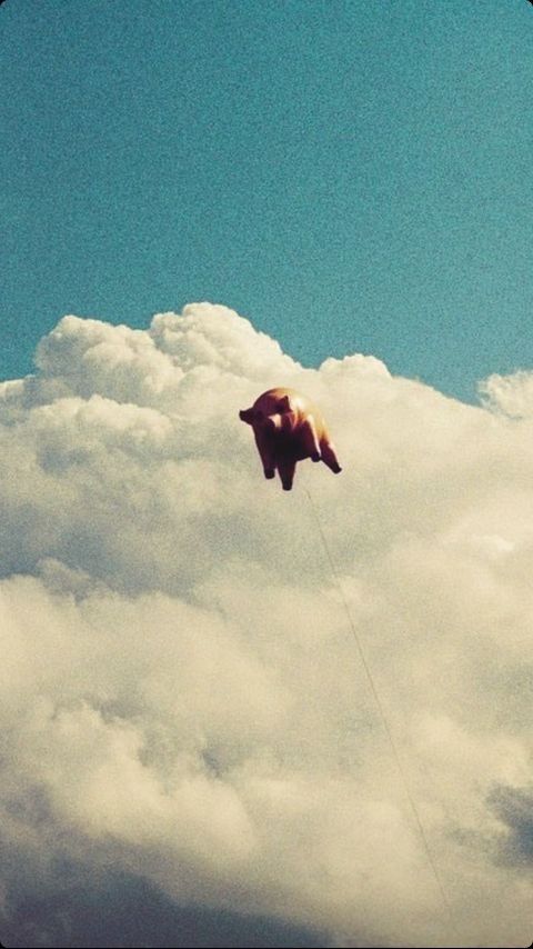 there is a kite flying high in the sky with clouds behind it and an animal on one side