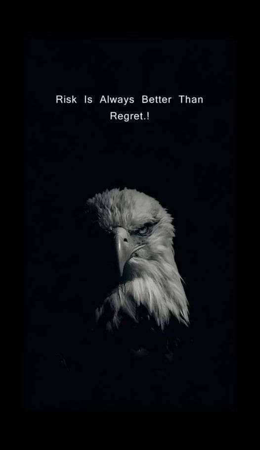 an eagle with the caption'risk is always better than regred '