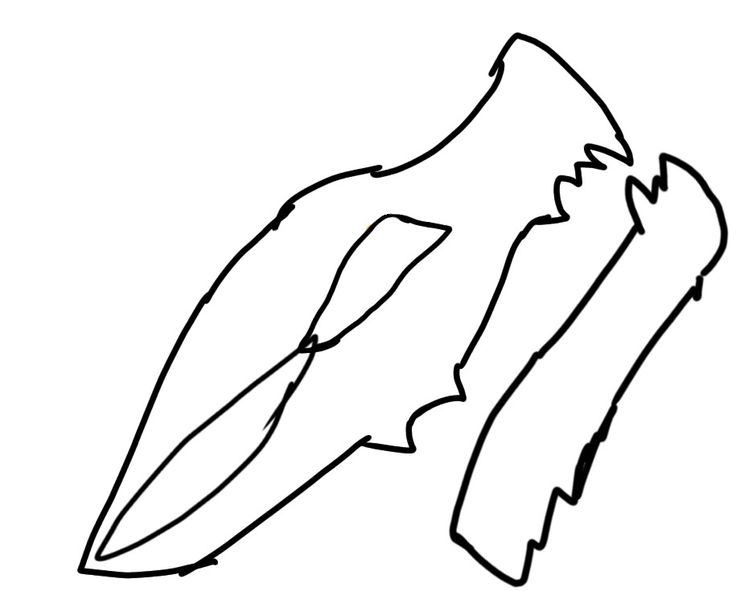 a black and white drawing of a bird's wing with the tip extended to the tail