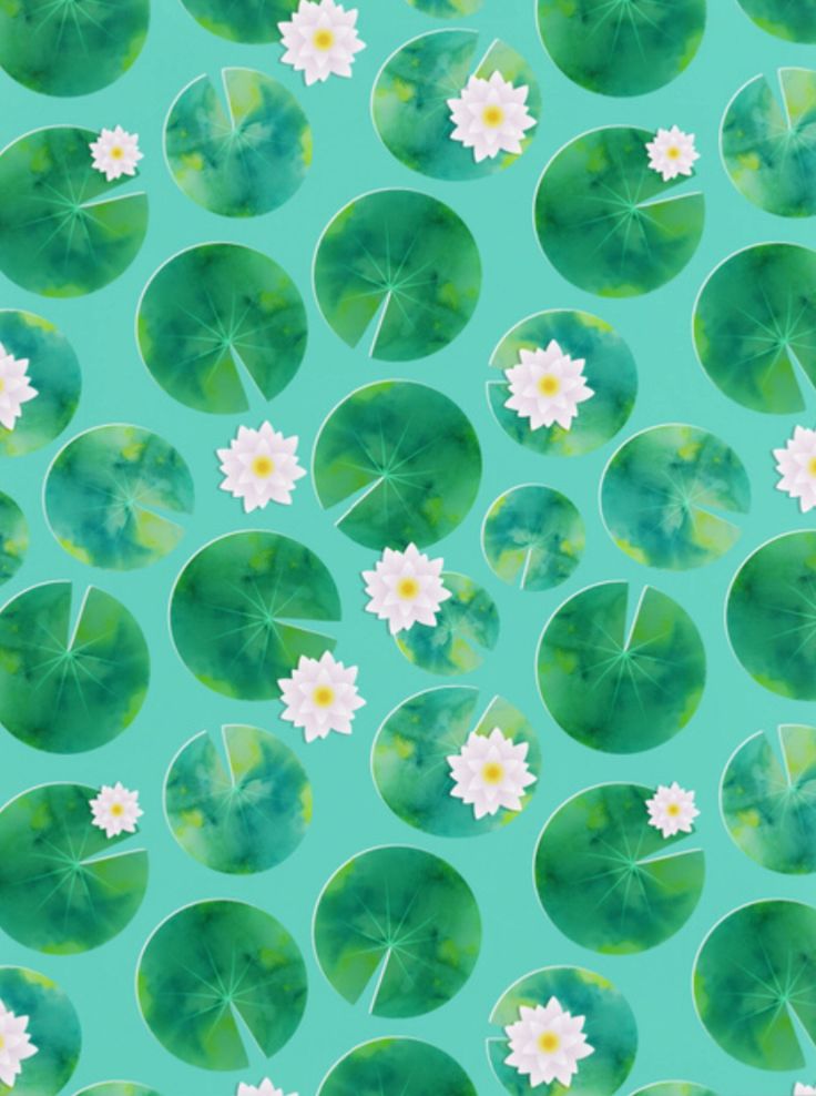 waterlilies and daisies are floating in the pond on a blue background with green leaves