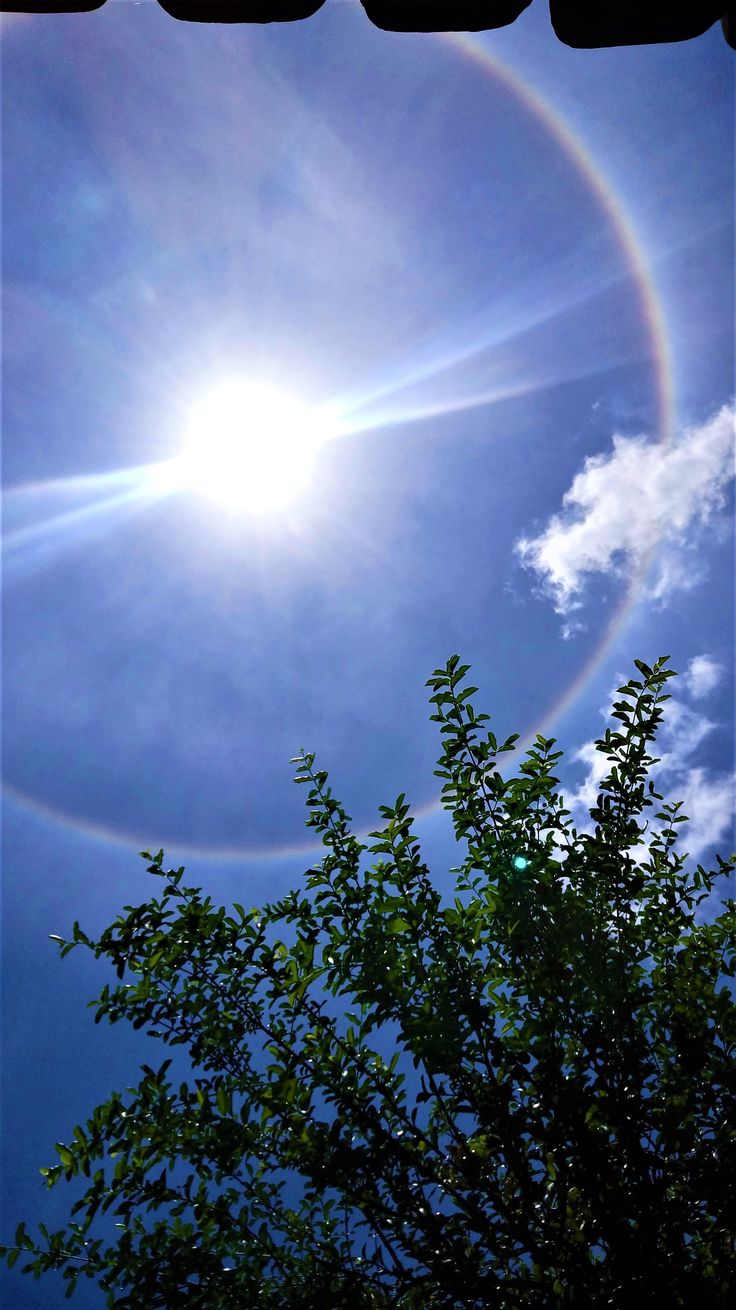 Um halo ou arco solar é um anel de luz que rodeia um corpo celeste, mais comumente o Sol ou a Lua. Os halos se formam a 5-10 quilômetros (3-6 milhas) na troposfera superior, causados por nuvens do tipo Cirrostratus (CS). A forma e a orientação particulares dos cristais são responsáveis para o tipo de halo observado. A luz é refletida e refratada pelos cristais de gelo e pode dividir-se em cores por causa da dispersão, semelhante ao arco-íris. Shine Astethic, Sun Astethic, Optical Phenomena, Sun Dogs, Dog Light, Sacred Geometry Art, Cloud Drawing, Amazing Nature Photos, Geometry Art