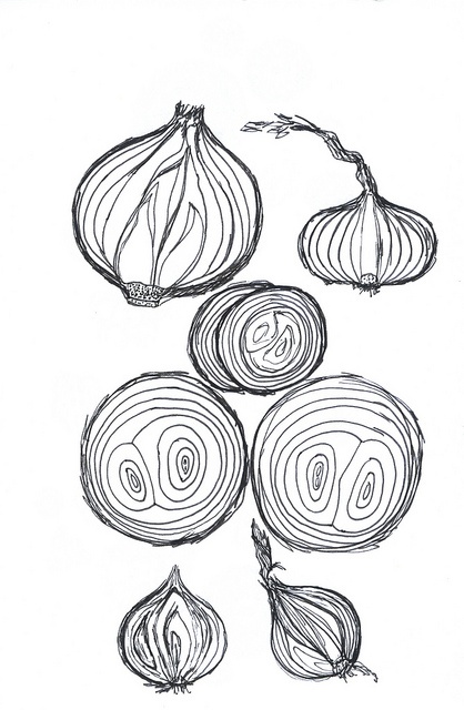 an image of onions drawn in black and white