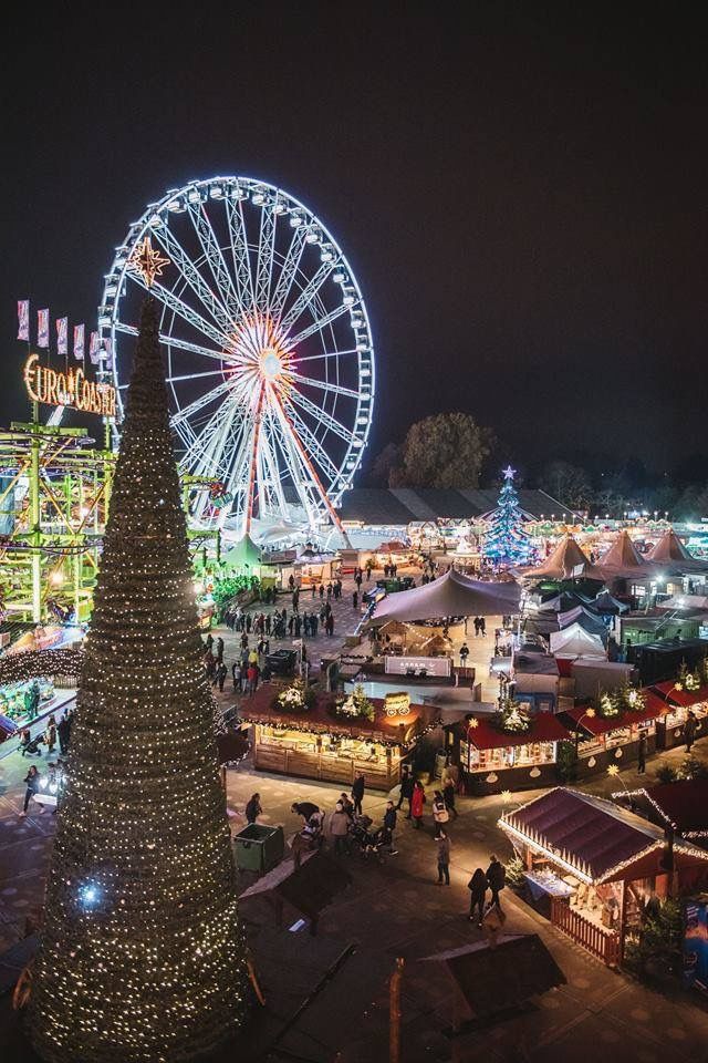 a large christmas tree sitting in front of a ferris wheel at an amusement park during the night