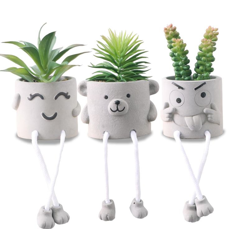 three planters with plants in them and faces drawn on them