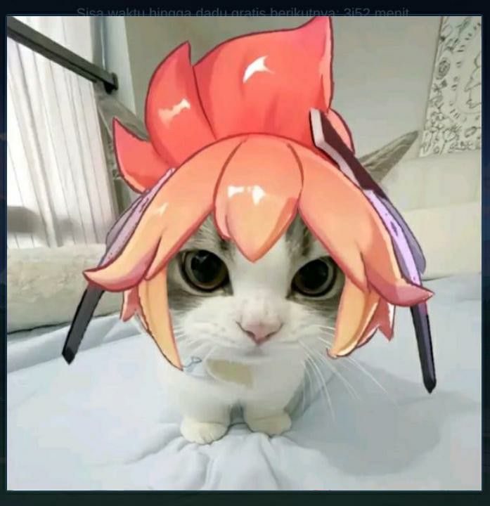 a cat with a hat on top of it's head