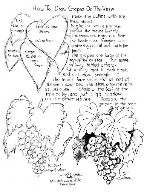 an image of grapes with the words how to draw grapes on the vine in it