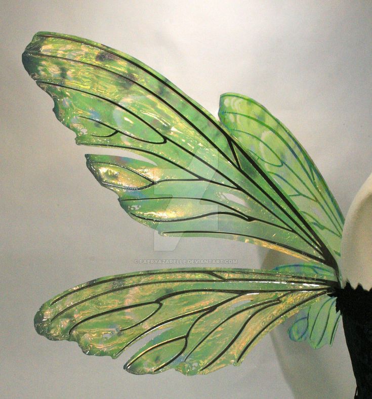 a green and white butterfly wing on top of a vase