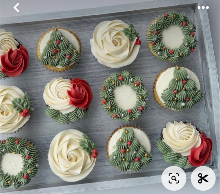 twelve cupcakes decorated with white frosting and holly wreaths