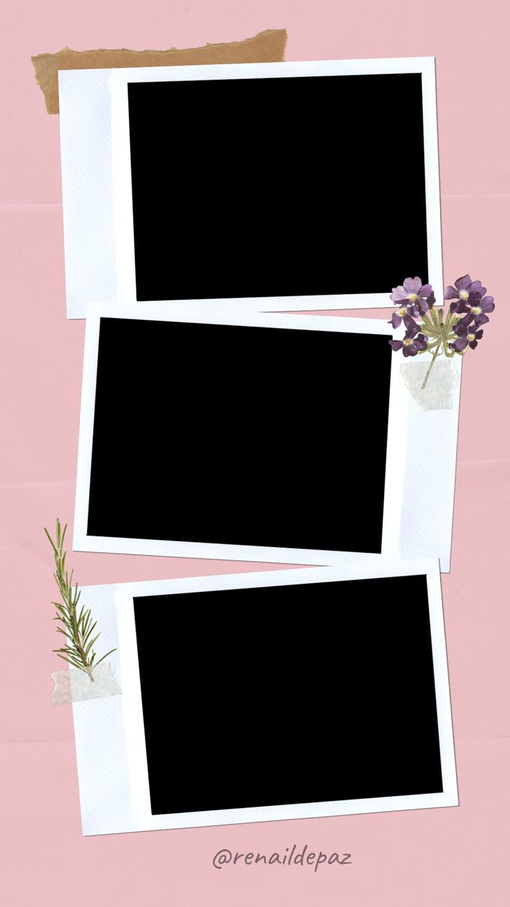 three polaroid frames with flowers in them on a pink background, one has been cut out and the other is empty