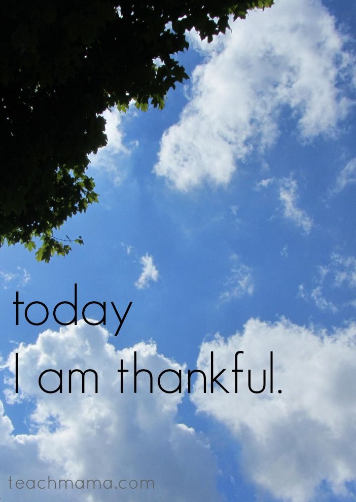 the words today i am grateful against a blue sky with white clouds and green leaves