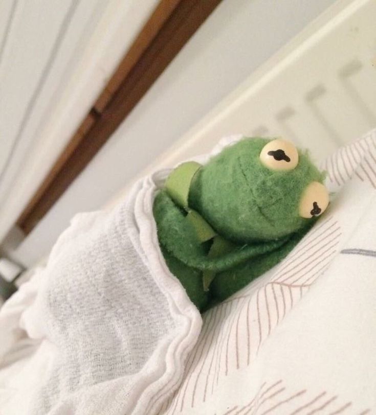 a green stuffed frog sitting on top of a white shirt