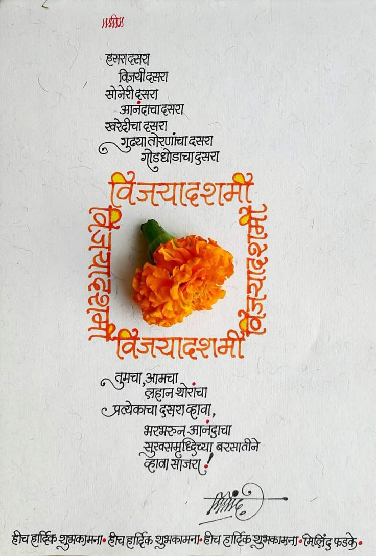 an orange flower sitting on top of a piece of paper with writing in the background