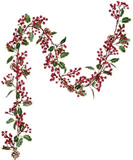 the letter n is made up of red berries and green leaves