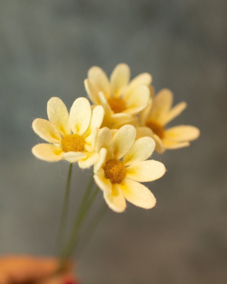 three yellow flowers in a vase on a table