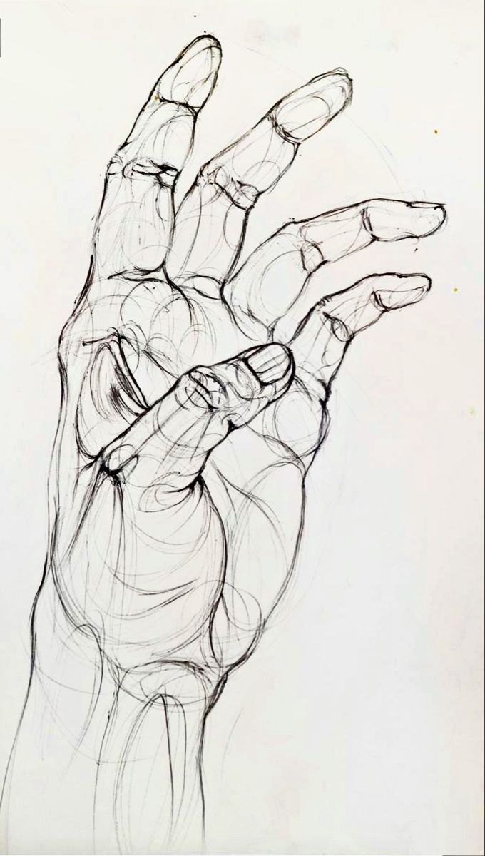 a drawing of a hand holding something in it's palm with the fingers extended