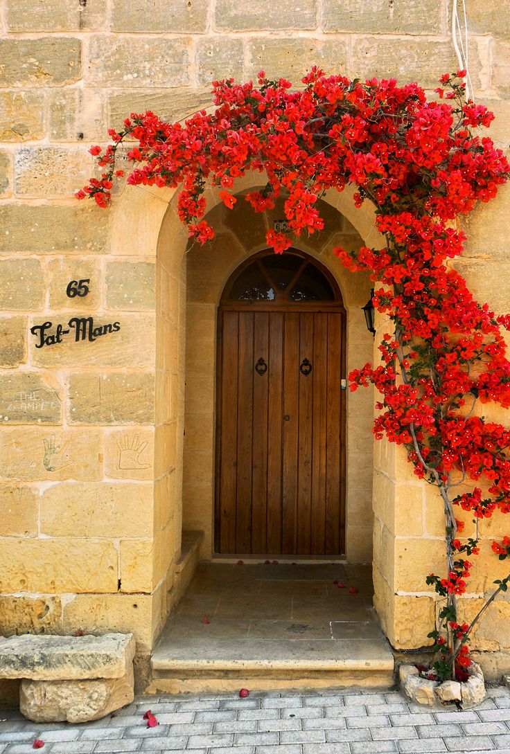 red flowers are growing on the side of a building with a wooden door and arched doorway