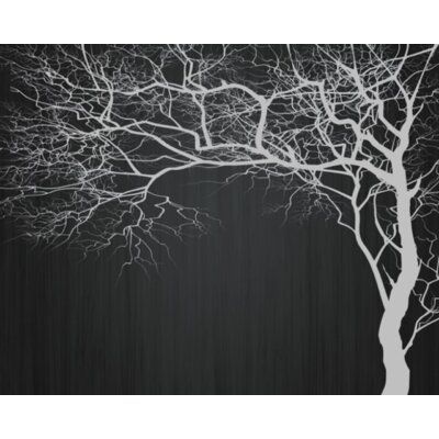 a tree with no leaves on it in the dark night, against a black background