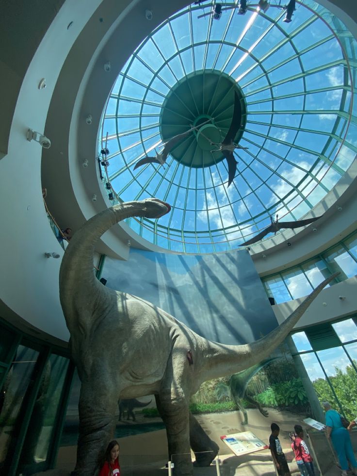 an elephant statue is in the middle of a room with glass walls and a skylight