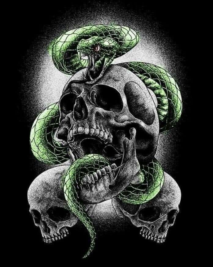 a skull and two snakes on top of each other